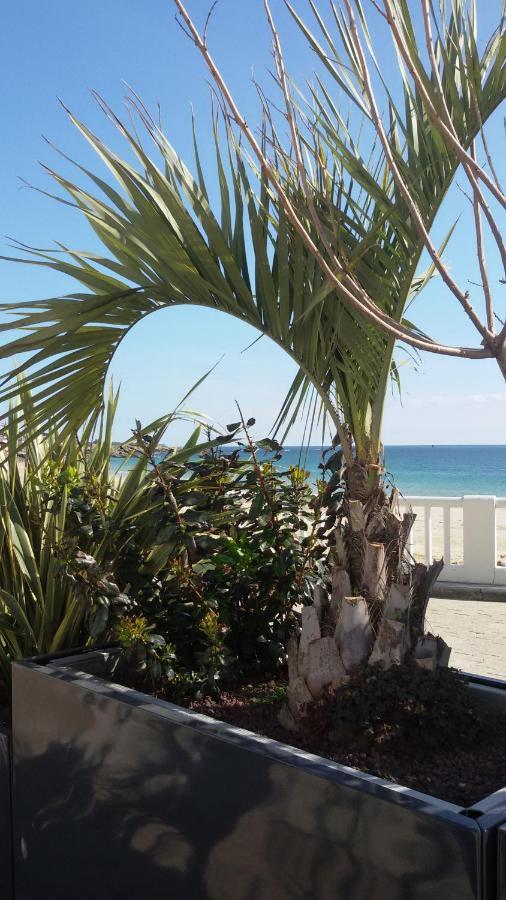 Ty Avel Studios 110 Et 111 Quiberon Luaran gambar