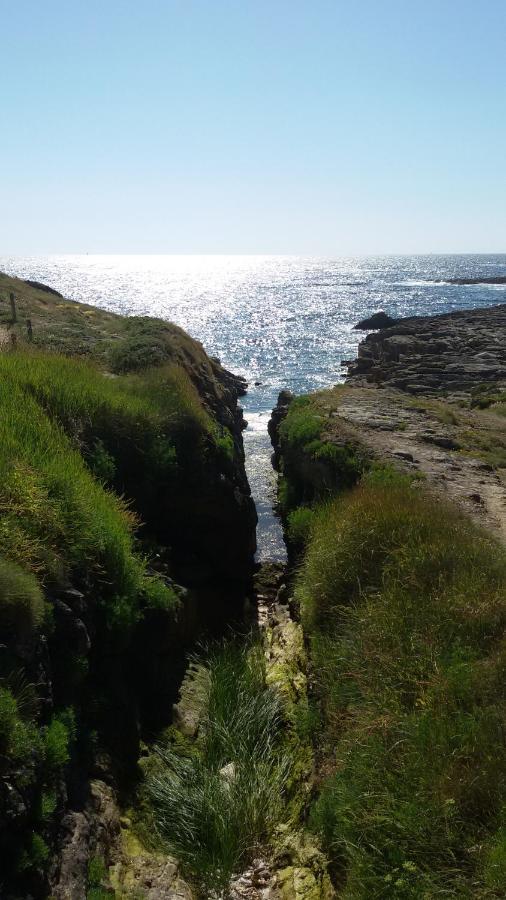 Ty Avel Studios 110 Et 111 Quiberon Luaran gambar
